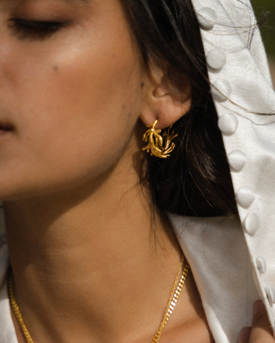 Zephyr Earrings main image 1